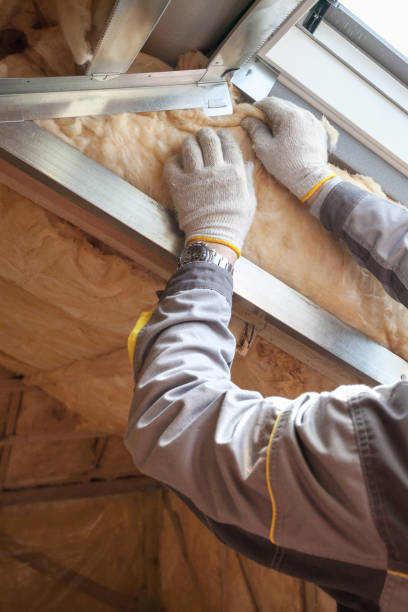 Best Wall Insulation Contractor  in Hagerstown, MD